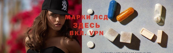 PSILOCYBIN Баксан