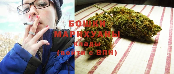 молекула духа Белоозёрский