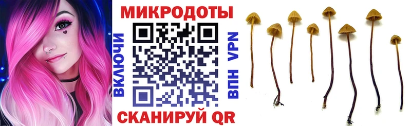 Псилоцибиновые грибы прущие грибы  где купить наркоту  omg ссылки  Бутурлиновка 