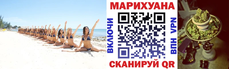 купить  цена  Бутурлиновка  Каннабис ГИДРОПОН 